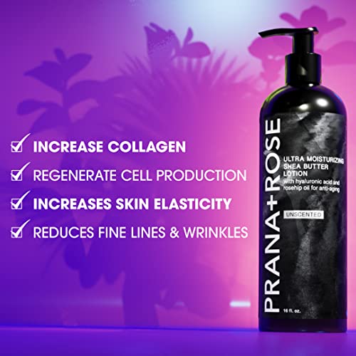 Prana+Rose Ultra Moisturizing Lotion With Hyaluronic Acid, Rosehip Oil, Aloe Vera, Shea Butter, Vitamins C, D, E, Antioxidants, Organic, Vegan - Large (Unscented) #TOP3