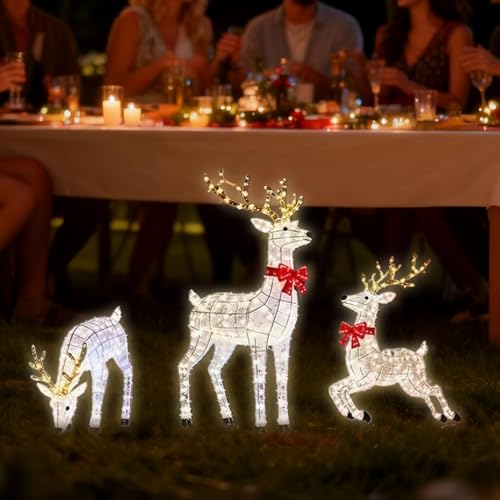 Photo complémentaire