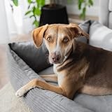 4L Textil Molly Boho Hundebett aus Cord Hundekorb große Hunde Hundekissen flauschig Hundekörbchen Hundesofa (100x80 cm, Grau)