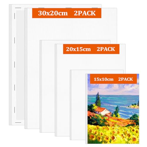 Muyohix Leinwand zum Bemalen, 6 Stück Leinwände Set aus Säurefreie Baumwolle 30x20, 20x15, 15x10cm Leinwand Keilrahmen Canvas Painting für Acryl-, Aquarell-, Ölfarbe für Anfänger Künstlerin Studenten