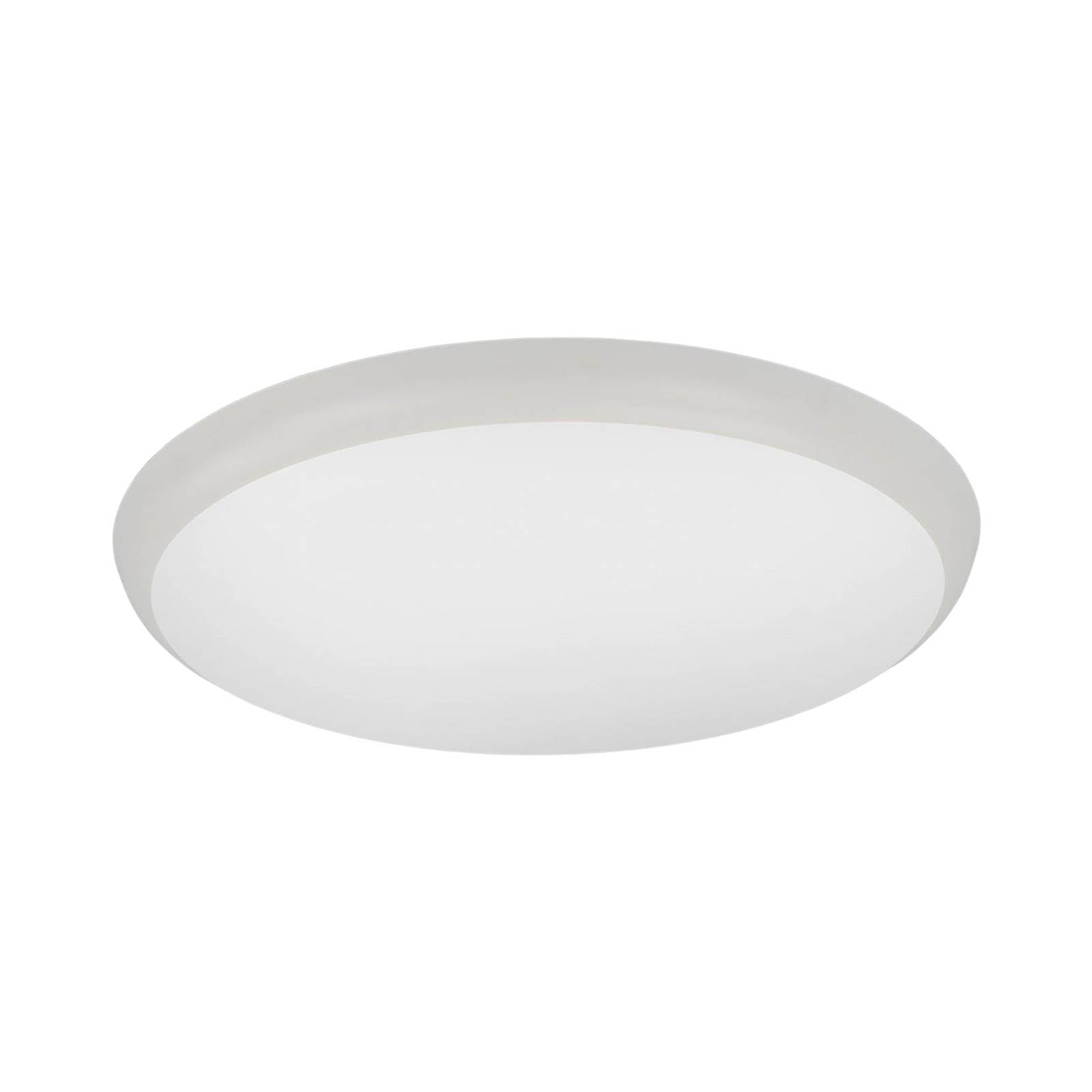 LED Ceiling Light 8W - Adjustable Light Angle - 2800K – Barcelona Led - View #6