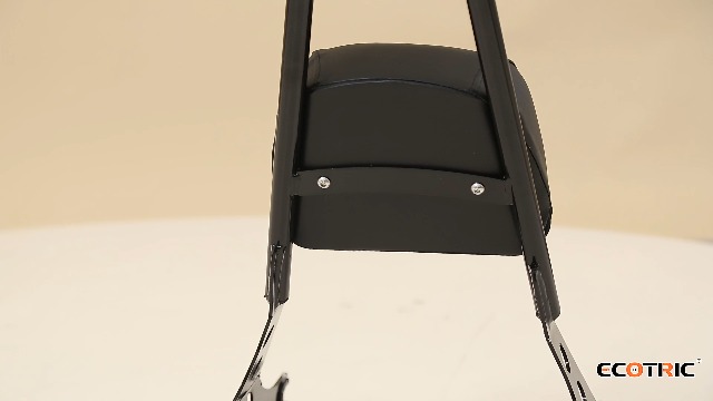 Detachable Rear Passenger Backrest Sissy Bar Seat Pad For Sportster For XL883C XL883R XLH883 XLH1200 2004-2022,for XL1200C XL1200S 1996-2000(Black