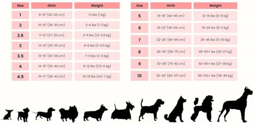 Image of BUDDY BELT PooPurse Premium - Caramel