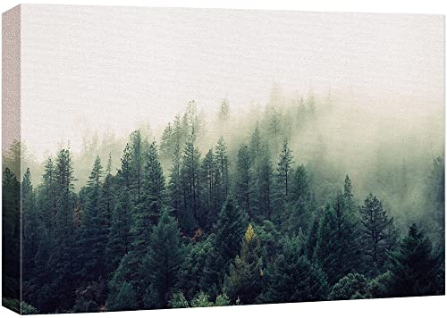 wall26 Canvas Print Wall Art Misty Green Forest Pine Trees in Sunlight Nature Wilderness Photography Modern Art Rustic Scenic Colorful Multicolor for Living Room, Bedroom, Office - 16"x24"