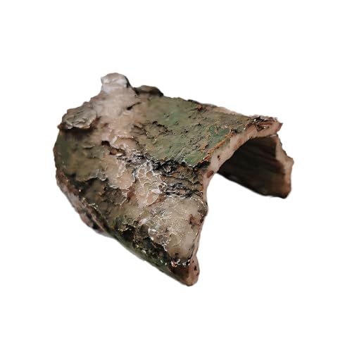 MFMEXUL ^NBّANZT[nr^bgz[c[^[gLreBpxb^, X^Cb