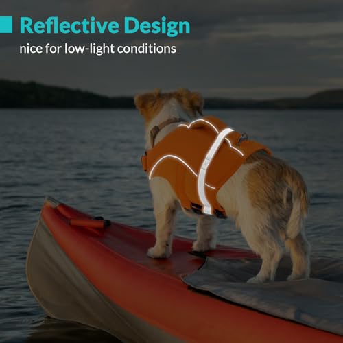 Bouée pour chien de petite taille évitant la fatigue