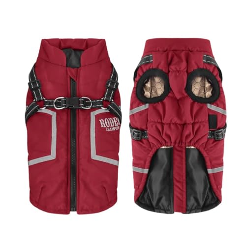 ˖hhgR[gn[lXq[NV[u[``Čp,,S