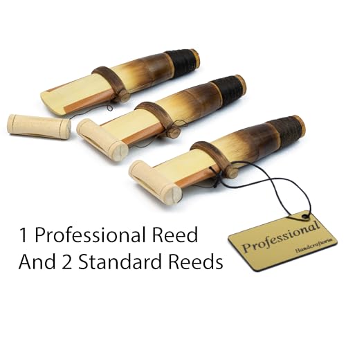 HandCraftoria Professionelles armenisches DUDUK-Instrument aus Aprikosenholz, Holzkoffer mit Leder überzogen, 1 professionelles Stimmzungen und 2 Standard, Flötenoboe Balaban Holzbläser (Tonart A)