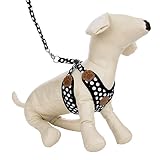 CUE CUE Pet Choke Free Harness with Matching Leash (Medium)