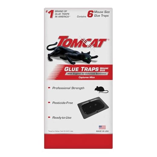 Tomcat Glue Traps Mouse Size with Eugenol for Enhanced Stickiness, Contains 6 Mouse Size Glue Traps - Captures Mice and Other Household Pests - Professional Strength, Pesticide-Free and Ready-to-Use