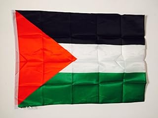 AZ FLAG Palestine Flag 2' x 3' for a pole - Palestinian flags 90 x 60 cm - Banner 2x3 ft with hole light polyester
