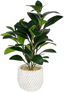 Artificial Rubber Plant 35cm in Geometric White Pot Superior Lifelike Appearance and Touch Decorative Artificial Plants Designed to Add Sophistication with Flora to your Home
