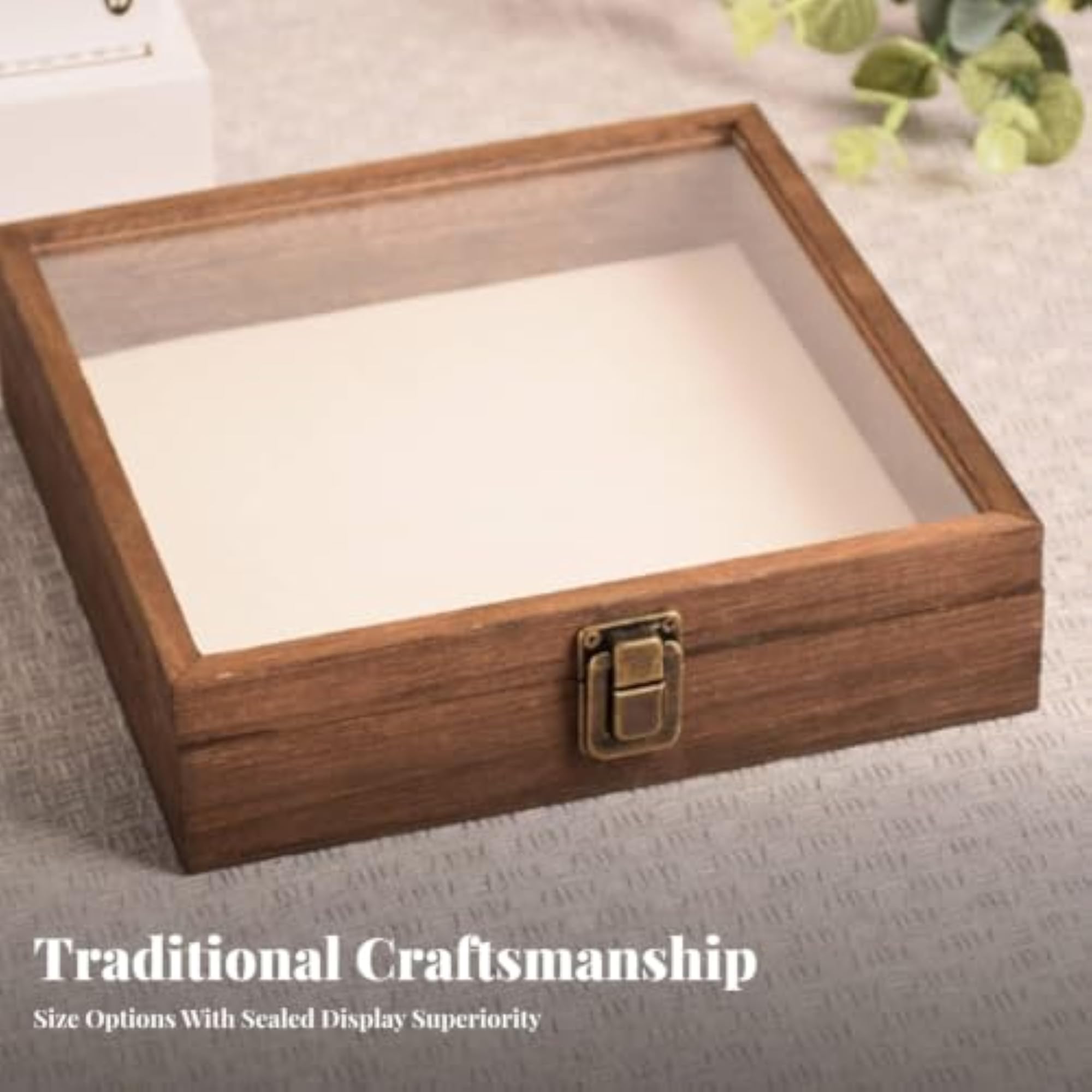 Transparent Wooden Display Case with Hinged Door