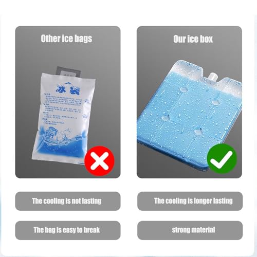 Maison de refroidissement pour chat intérieur et extérieur avec boîte à glace