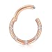 16G Nose Hoop Rings Zolure 316L Surgical Stainless Steel Hinged Gemmed Seamless Septum Clicker Ring Eyebrow Tragus Lip Ear Ring BCR Gold