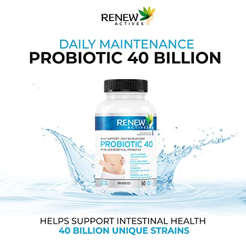Renew Actives Double Strength Probiotic: High Potency Probiotic 40 Billion Cfu - Probiotics For Men And Women For Digestive Health - Once Daily Mens And Womens Probiotic 40 Supplement - 60 Capsules #TOP1