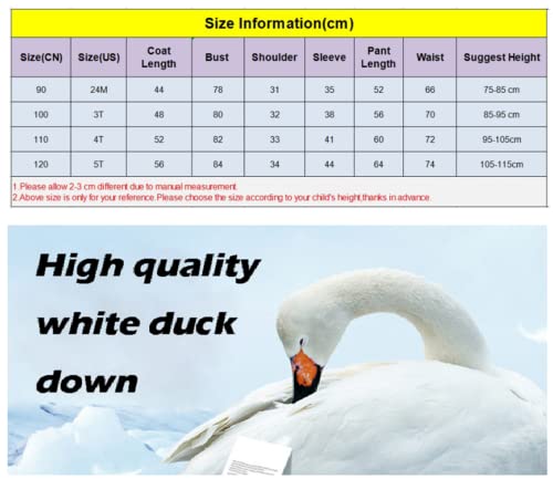 Winter Kinderen Kleding Sets Sneeuwpak Jassen + Jumpsuit 2 stks Set Baby Jongen Meisjes Duck Down Jassen Peuter Meisje… - Image 6