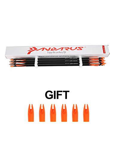 Pandarus Archery 28" Fiberglass Archery Target Practice Arrows, For Children, Woman Or Beginner, For Recuve Bow(Pack Of 12) … #TOP6