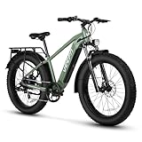 VEEFA E1 Electric Bike for Adults 750W/Peak 1000W Motor 48V 13AH Removable Battery Step-Over Electric Bicycle 26' x 4.0' Fat Tire Mountain Ebike 28MPH E Bike 7-Speed UL 2849 Certified Green