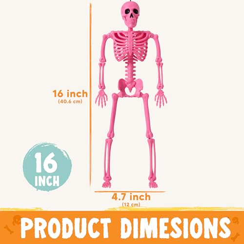 Image of JOYIN 5 PCS Posable Halloween Skeleton Decor 16 Inches, Full Body Movable Joints Posable Skeleton, Hanging Skeletons for Halloween Decoration, Home Yard, Graveyard, Haunted House, Spooky Scene