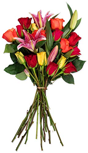 Benchmark Bouquets Big Blooms, No Vase (Fresh Cut Flowers) Benchmark Bouquets Big Blooms, No Vase (Fresh Cut Flowers)