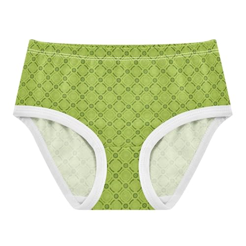 Texture Green Toddler Girls's Underwear 2T 2302884