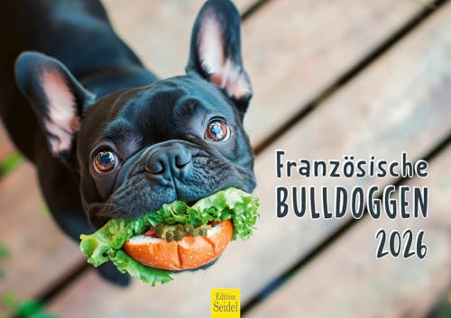Edition Seidel Premium Kalender Französiche Bulldoggen 2026 Format DIN A3 Wandkalender Hundekalender Hund Welpe Tierkinder Hunderasse Haustier