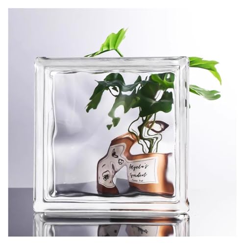 Blocs de verre isolants et translucides pour cloison phonique et thermique intérieure