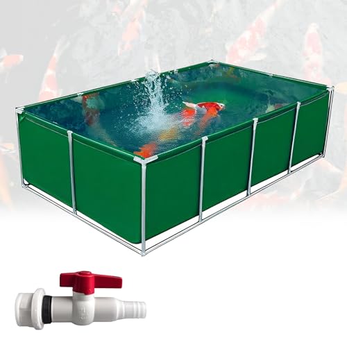 Poxvythb v̌̓WAԊwIȐ̌݁AƓIȎzVXe qO[h̍uPbg/360°̎\A ^ (TCYF3x2x0.5m/J[F)