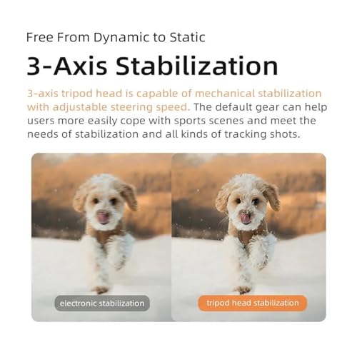 Ficha técnica WLLKIY Cámara de Vídeo de Bolsillo Videocámara Digital Vlogging de Acción 5K 3 Ejes Seguimiento Facial Pantalla Táctil de 3,5 Pulgadas Visión Nocturna Infrarroja Add 64GB Card - Fernando Cortés