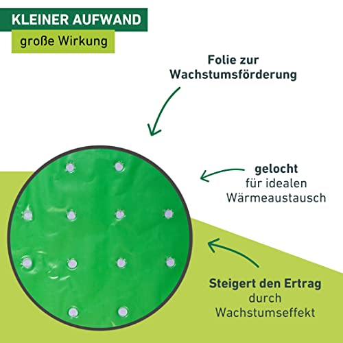 Windhager Frühbeet-Folie Strong, Pflanzfolie für Ganzjahresschutz, Frühbeetfolie, Folie für Pflanzen, grün, 37 µm, 10 x 1,5 m