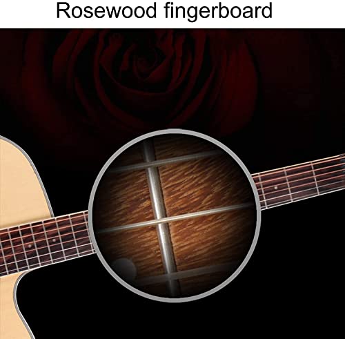 Full Size Guitar Guitar 6 String Silky Feel Sound Crisp C Shaped Neck Missing Corner Right Hand Adult Beginner Folk… - Les Beatles, Paul McCartney, John Lennon, RIngo Starr, George Harrison Full Size Guitar Guitar 6 String Silky Feel Sound Crisp C Shaped Neck Missing Corner Right Hand Adult Beginner Folk… – Image 7