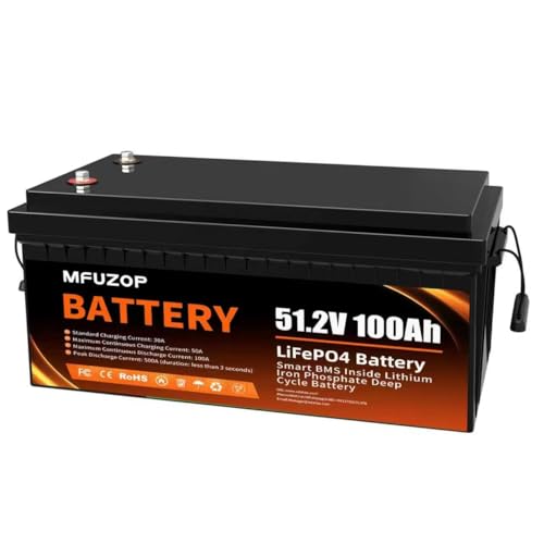 48V Lithium Battery for Golf Cart, 48V 100Ah LiFePO4 Battery with 200A Smart BMS, 5.12kWh Capacity,...