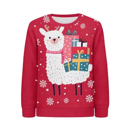 Long Sleeve Sweater for Girls Boys Kids Crewneck Soft Pullover Sweaters Knit Jumper Shirts Fall Winter Clothes