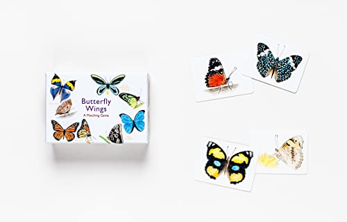Butterfly Wings: A Matching Game - Image 5