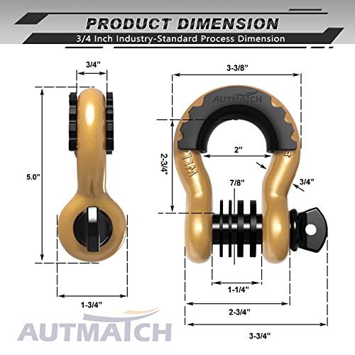 image for AUTMATCH D Ring Shackle 3/4