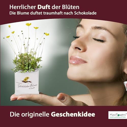 Deine MacFlowers Schokoladenblume, Ein lieber Gruß, Für Dich, Schokoblume in der Blumendose, Das originelle Geschenk, Anzuchtset, Duftet traumhaft nach Schokolade, Geburtstag
