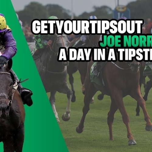 Joe Norris Book - Life in the day of a Sports Betting Tipster