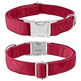 Zoom IMG-2 ktwsuef collare cane papillon per Zoom IMG-2 ktwsuef collare cane papillon per