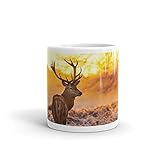 DV Mugs Ltd