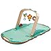Produktbild Hape E0045 Mobiles Baby "Gym" | Transportabler Spielbogen mit Krabbeldecke