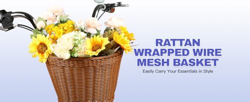 EISYROOD 26 Inch Beach Cruise