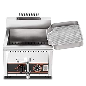 Freidora de patatas fritas, freidora de acero inoxidable de alta resistencia a gas, sartén comercial, máquina para patatas fritas, protección contra sobrecalentamiento, 15L