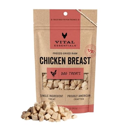 Vital Essentials Freeze Dried Dog Treats | Chicken Breast, Single Ingredient | Premium Quality | Grain Free Training Treats for Dogs, 2.1 oz Bag