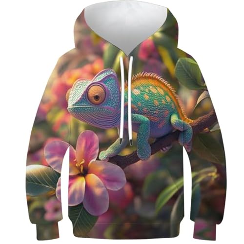 Sweat-shirt pour adolescents caméléon idéal pour l'école et le sport