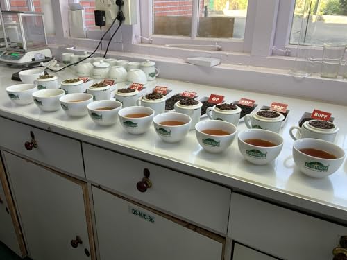 SOUTH INDIA TEA HOUSE ニルギリ紅茶FOP 2026