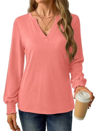Womens Long Sleeve Shirts Fall Tops V Neck Business Dressy Casual Blouses with Smocked Cuffs3