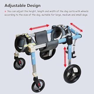 Carrello Per La Mobilità Del Cane, Cani Anziani Sedia A Rotelle,Supporto Regolabile Per Animali Domestici Con 4 Ruote Per Cani Disabili,Carrozzina Per Cani Per Zampe Anteriori E Posteriori XL