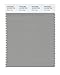 Produktbild Pantone Smart Farbe Swatch Karte Ghost Gray
