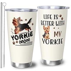 Beige-Yorkie